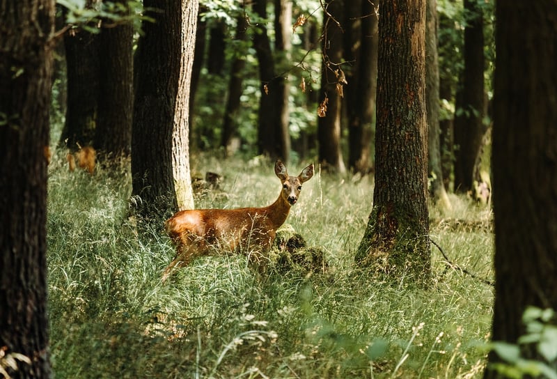 Deer Figurine